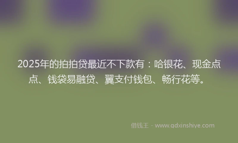 2025年的拍拍贷最近不下款有：哈银花、现金点点、钱袋易融贷、翼支付钱包、畅行花等。
