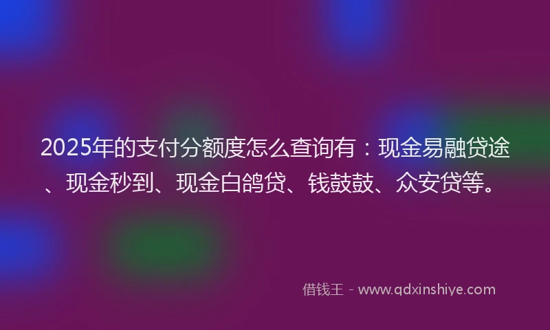 2025年的支付分额度怎么查询有：现金易融贷途、现金秒到、现金白鸽贷、钱鼓鼓、众安贷等。