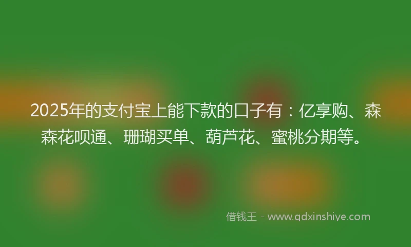 2025年的支付宝上能下款的口子有：亿享购、森森花呗通、珊瑚买单、葫芦花、蜜桃分期等。
