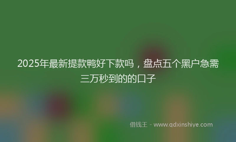 2025年最新提款鸭好下款吗，盘点五个黑户急需三万秒到的的口子