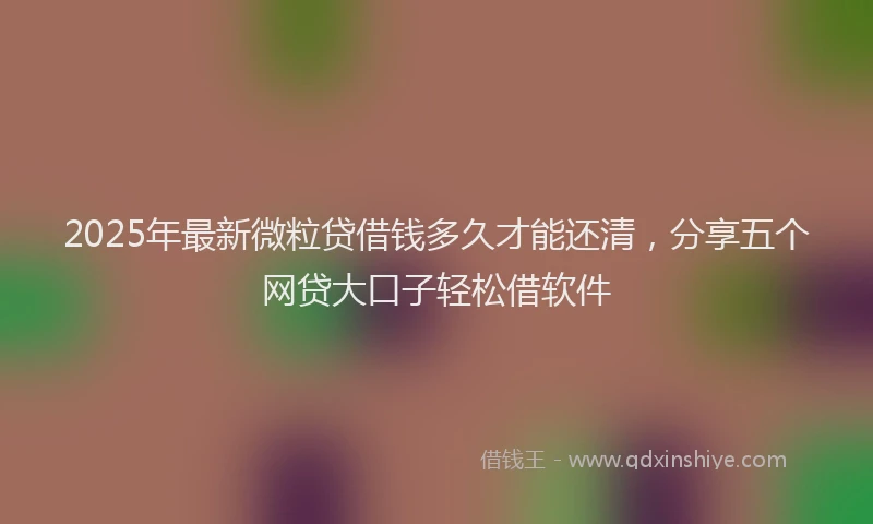 2025年最新微粒贷借钱多久才能还清，分享五个网贷大口子轻松借软件