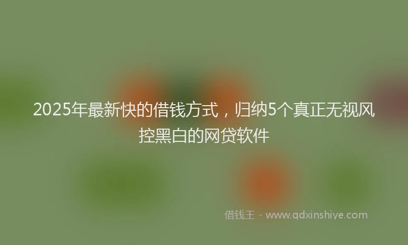 2025年最新快的借钱方式，归纳5个真正无视风控黑白的网贷软件