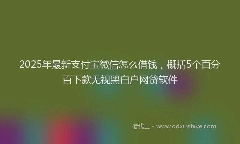 2025年最新支付宝微信怎么借钱，概括5个百分百下款无视黑白户网贷软件