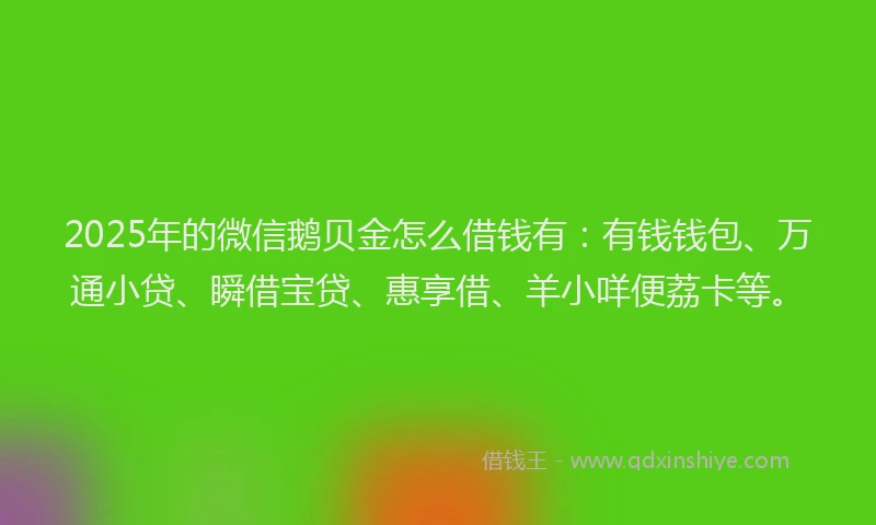 2025年的微信鹅贝金怎么借钱有：有钱钱包、万通小贷、瞬借宝贷、惠享借、羊小咩便荔卡等。