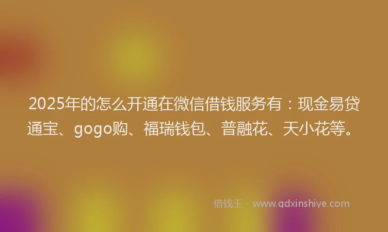 2025年的怎么开通在微信借钱服务有：现金易贷通宝、gogo购、福瑞钱包、普融花、天小花等。