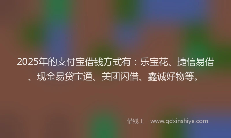 2025年的支付宝借钱方式有：乐宝花、捷信易借、现金易贷宝通、美团闪借、鑫诚好物等。