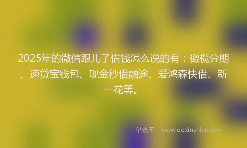 2025年的微信跟儿子借钱怎么说的有：橄榄分期、速贷宝钱包、现金秒借融途、爱鸿森快借、新一花等。