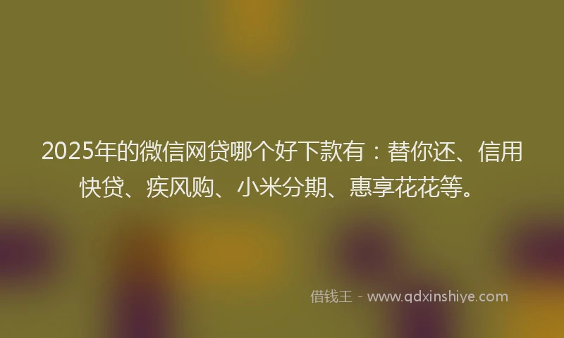 2025年的微信网贷哪个好下款有：替你还、信用快贷、疾风购、小米分期、惠享花花等。