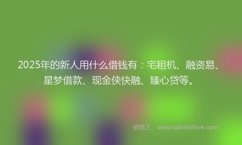 2025年的新人用什么借钱有：宅租机、融资易、星梦借款、现金侠快融、臻心贷等。