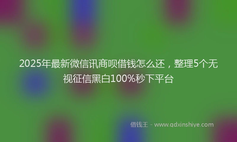 2025年最新微信讯商呗借钱怎么还，整理5个无视征信黑白100%秒下平台