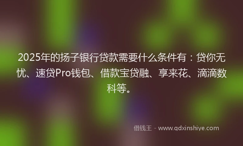 2025年的扬子银行贷款需要什么条件有：贷你无忧、速贷Pro钱包、借款宝贷融、享来花、滴滴数科等。