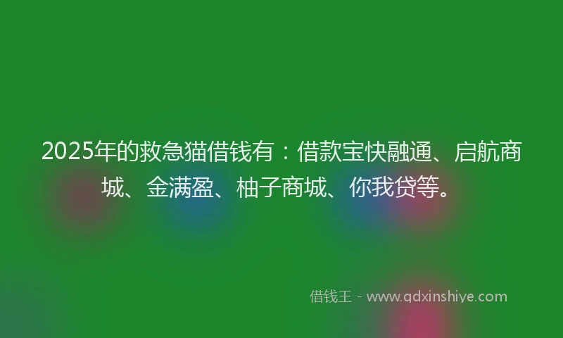2025年的救急猫借钱有：借款宝快融通、启航商城、金满盈、柚子商城、你我贷等。