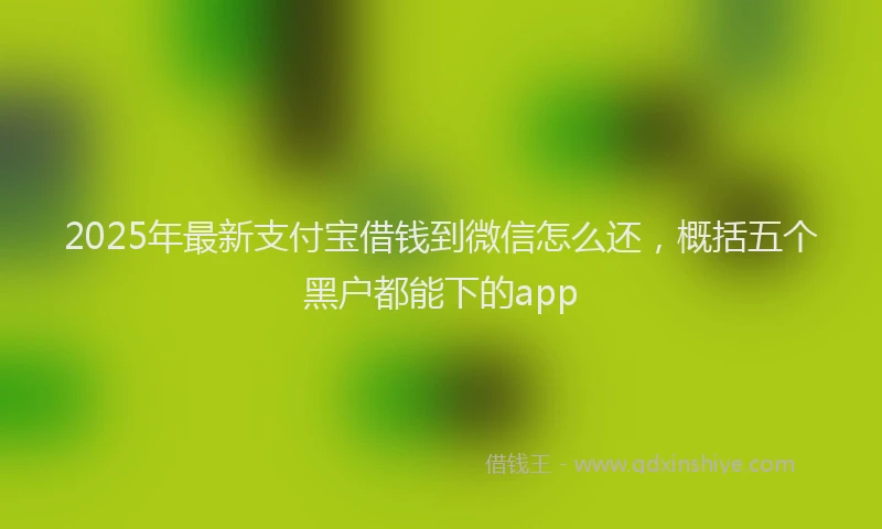 2025年最新支付宝借钱到微信怎么还，概括五个黑户都能下的app