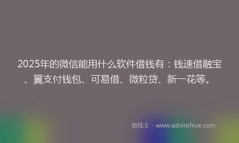 2025年的微信能用什么软件借钱有：钱速借融宝、翼支付钱包、可易借、微粒贷、新一花等。
