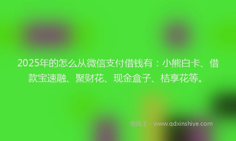 2025年的怎么从微信支付借钱有：小熊白卡、借款宝速融、聚财花、现金盒子、桔享花等。