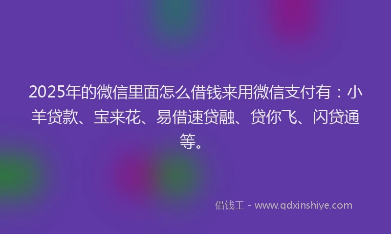 2025年的微信里面怎么借钱来用微信支付有：小羊贷款、宝来花、易借速贷融、贷你飞、闪贷通等。