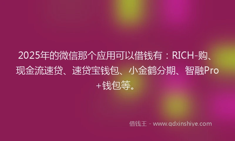 2025年的微信那个应用可以借钱有：RICH-购、现金流速贷、速贷宝钱包、小金鹤分期、智融Pro+钱包等。