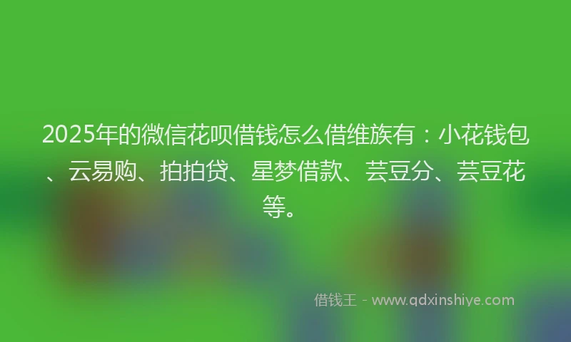 2025年的微信花呗借钱怎么借维族有：小花钱包、云易购、拍拍贷、星梦借款、芸豆分、芸豆花等。