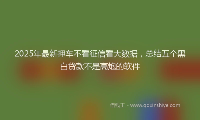 2025年最新押车不看征信看大数据，总结五个黑白贷款不是高炮的软件