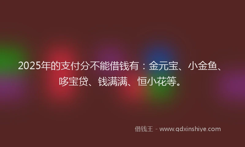 2025年的支付分不能借钱有：金元宝、小金鱼、哆宝贷、钱满满、恒小花等。
