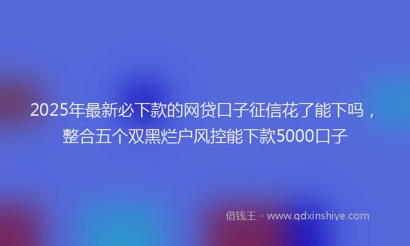 2025年最新必下款的网贷口子征信花了能下吗，整合五个双黑烂户风控能下款5000口子