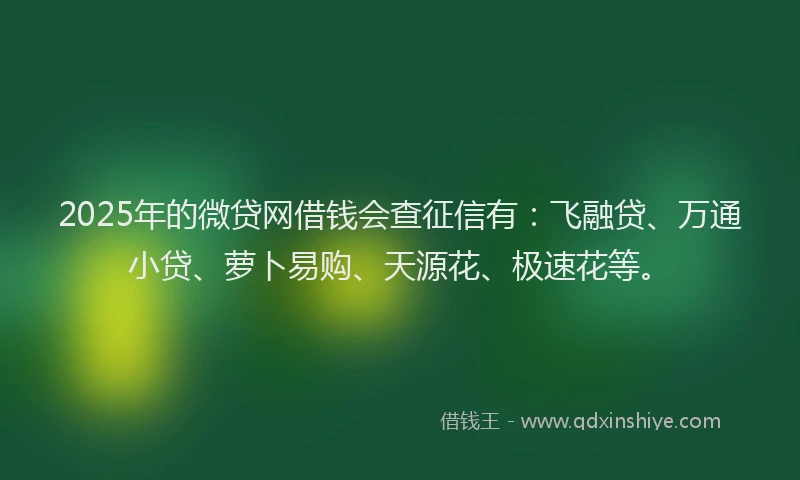 2025年的微贷网借钱会查征信有：飞融贷、万通小贷、萝卜易购、天源花、极速花等。