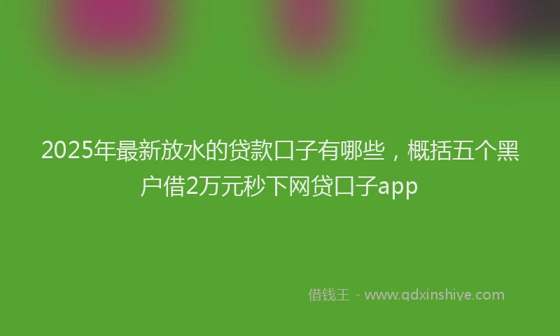 2025年最新放水的贷款口子有哪些，概括五个黑户借2万元秒下网贷口子app