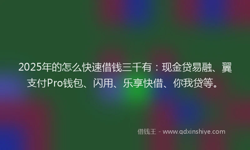 2025年的怎么快速借钱三千有：现金贷易融、翼支付Pro钱包、闪用、乐享快借、你我贷等。