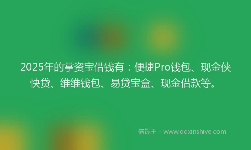 2025年的掌资宝借钱有：便捷Pro钱包、现金侠快贷、维维钱包、易贷宝盒、现金借款等。