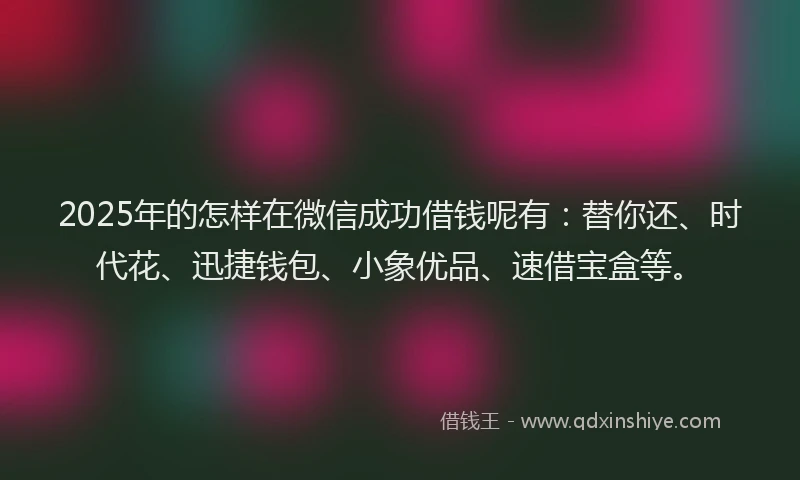 2025年的怎样在微信成功借钱呢有：替你还、时代花、迅捷钱包、小象优品、速借宝盒等。