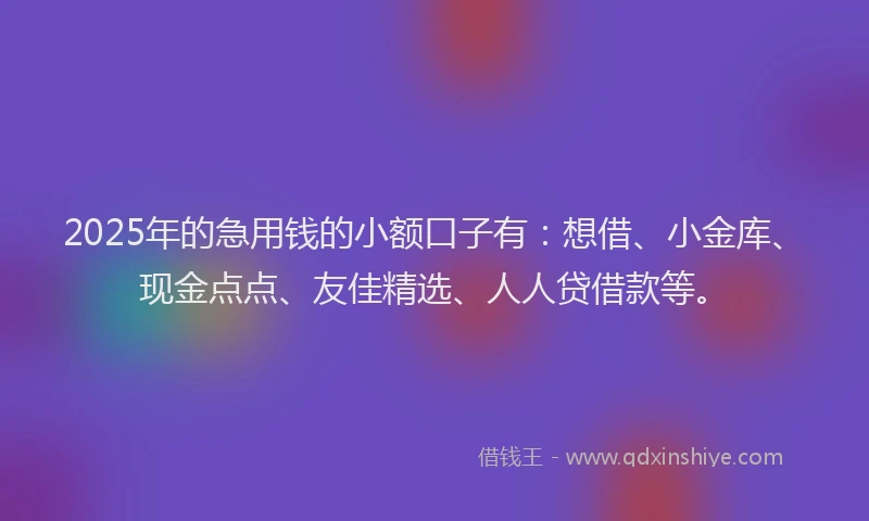 2025年的急用钱的小额口子有：想借、小金库、现金点点、友佳精选、人人贷借款等。