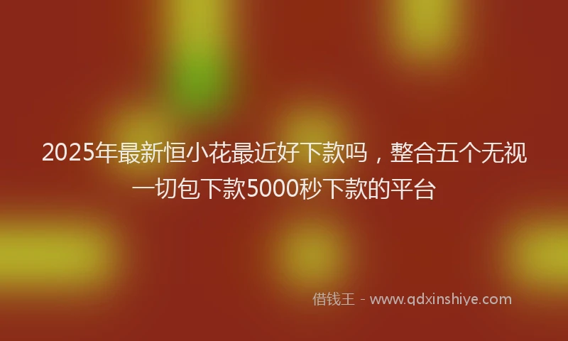 2025年最新恒小花最近好下款吗，整合五个无视一切包下款5000秒下款的平台