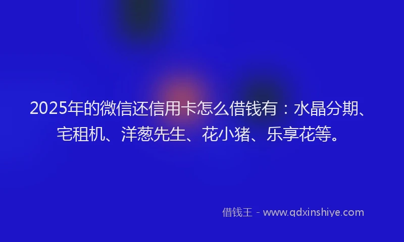 2025年的微信还信用卡怎么借钱有：水晶分期、宅租机、洋葱先生、花小猪、乐享花等。