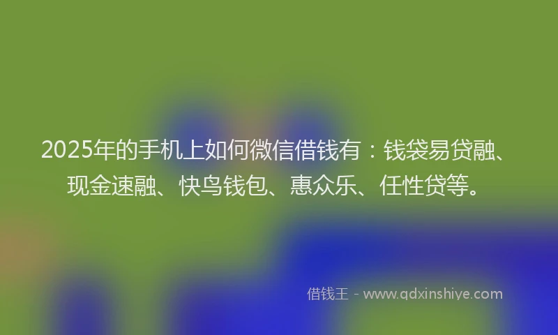2025年的手机上如何微信借钱有：钱袋易贷融、现金速融、快鸟钱包、惠众乐、任性贷等。