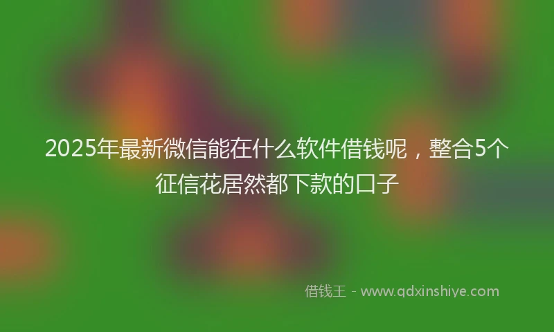 2025年最新微信能在什么软件借钱呢，整合5个征信花居然都下款的口子
