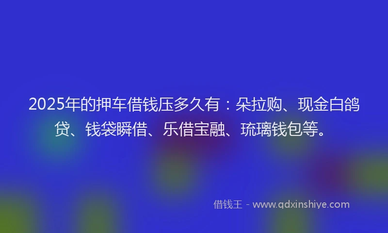2025年的押车借钱压多久有：朵拉购、现金白鸽贷、钱袋瞬借、乐借宝融、琉璃钱包等。