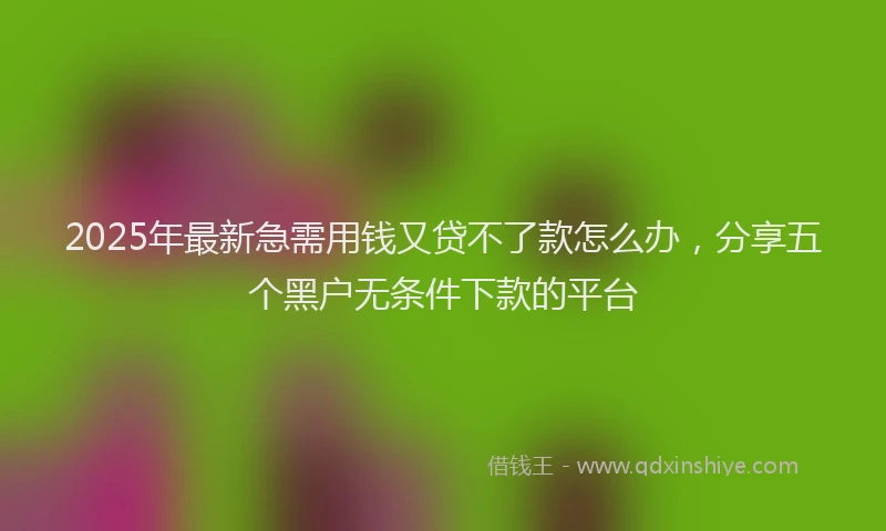 2025年最新急需用钱又贷不了款怎么办，分享五个黑户无条件下款的平台