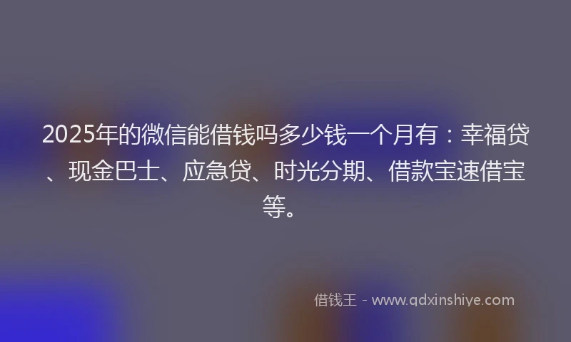 2025年的微信能借钱吗多少钱一个月有：幸福贷、现金巴士、应急贷、时光分期、借款宝速借宝等。