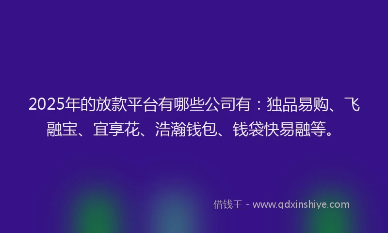2025年的放款平台有哪些公司有：独品易购、飞融宝、宜享花、浩瀚钱包、钱袋快易融等。