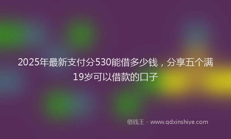 2025年最新支付分530能借多少钱，分享五个满19岁可以借款的口子