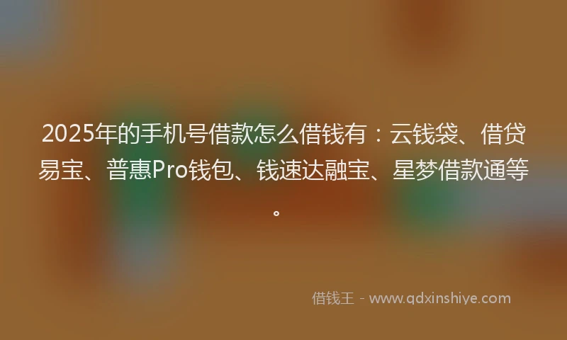 2025年的手机号借款怎么借钱有：云钱袋、借贷易宝、普惠Pro钱包、钱速达融宝、星梦借款通等。