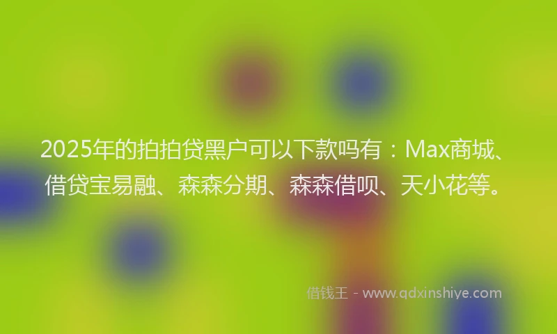 2025年的拍拍贷黑户可以下款吗有：Max商城、借贷宝易融、森森分期、森森借呗、天小花等。