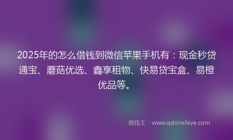 2025年的怎么借钱到微信苹果手机有：现金秒贷通宝、蘑菇优选、鑫享租物、快易贷宝盒、易橙优品等。