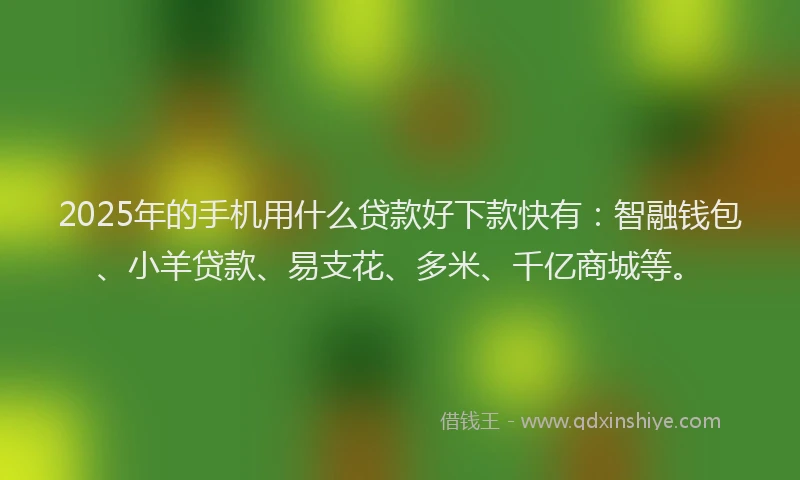 2025年的手机用什么贷款好下款快有：智融钱包、小羊贷款、易支花、多米、千亿商城等。