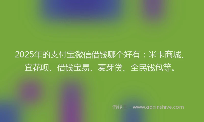 2025年的支付宝微信借钱哪个好有：米卡商城、宜花呗、借钱宝易、麦芽贷、全民钱包等。