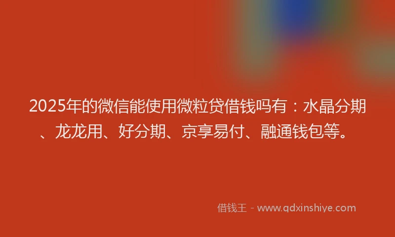 2025年的微信能使用微粒贷借钱吗有：水晶分期、龙龙用、好分期、京享易付、融通钱包等。