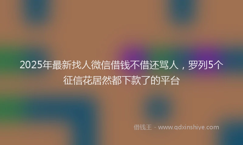 2025年最新找人微信借钱不借还骂人，罗列5个征信花居然都下款了的平台