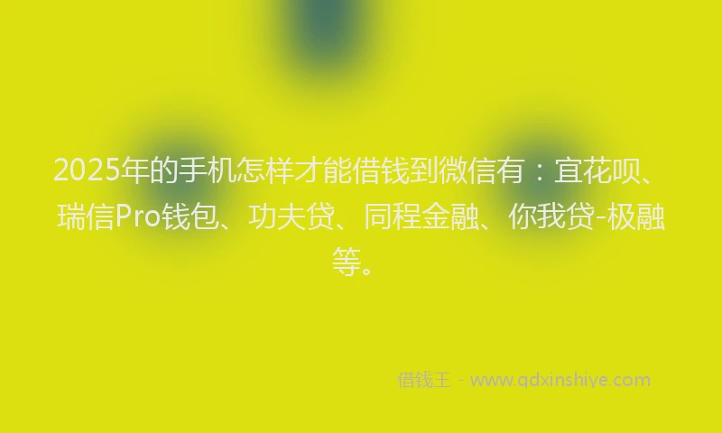 2025年的手机怎样才能借钱到微信有：宜花呗、瑞信Pro钱包、功夫贷、同程金融、你我贷-极融等。