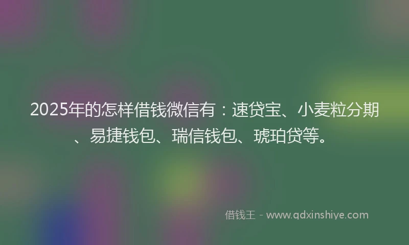 2025年的怎样借钱微信有：速贷宝、小麦粒分期、易捷钱包、瑞信钱包、琥珀贷等。