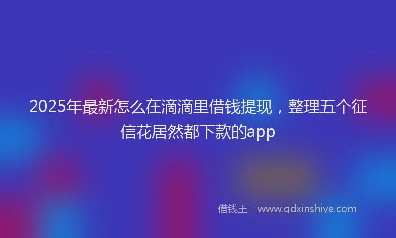 2025年最新怎么在滴滴里借钱提现，整理五个征信花居然都下款的app